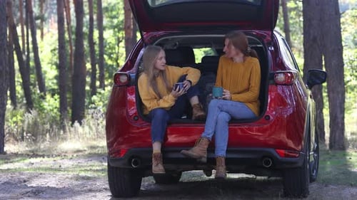 Forest Picnic In The Car Trunk 4
