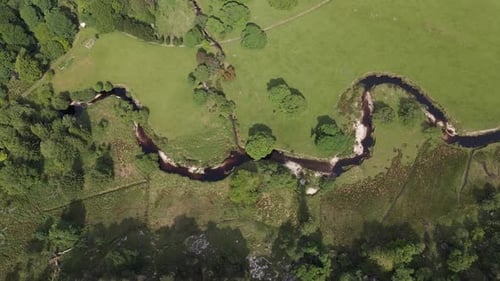 Cinematic Top Down Drone Shot of Meandering River Through Greenery