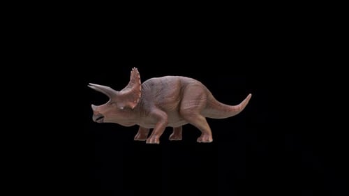 Triceratops-Dinosaurier-Angriff