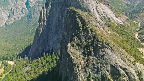 Overlooking Yosemite Valley in Background on a perfect sunny Summer Day