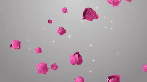 Floating Pink Roses on Gray Background