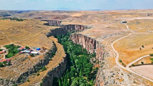 Forest-Filled Canyon - Aerial View
