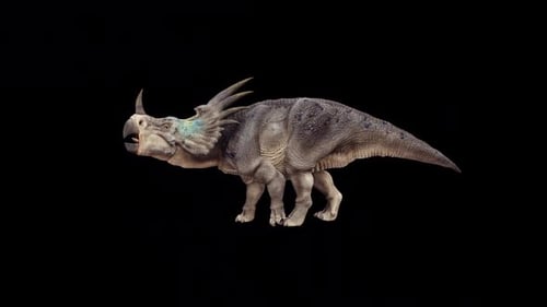 Promenade avec les dinosaures Styracosaurus