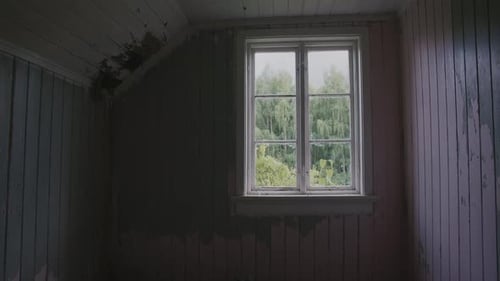 Altes Holzzimmer mit abblätternder Farbe und einem Fenster mit Blick auf grüne Bäume