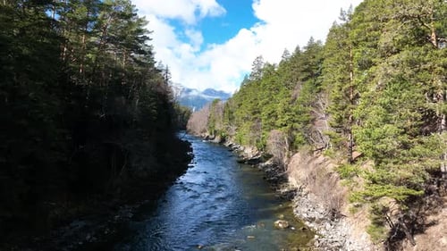 Mountain river flowing through a forest valley