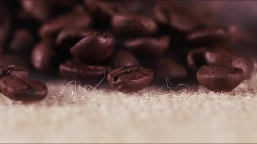 Raw Fresh Coffee Beans 2
