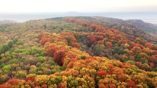 Außergewöhnliche Farbvielfalt im Herbst von oben gesehen