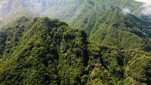 Aerial View Of Tropical Lush Forest In Madeira Island Portugal - drone shot