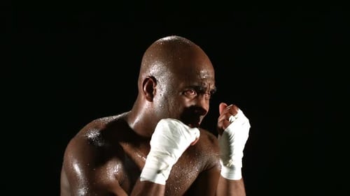 Boxer Training,