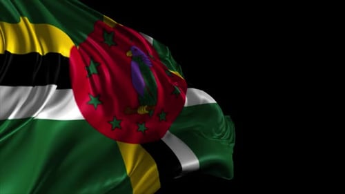 Realistic Waving Dominica Flag Loop