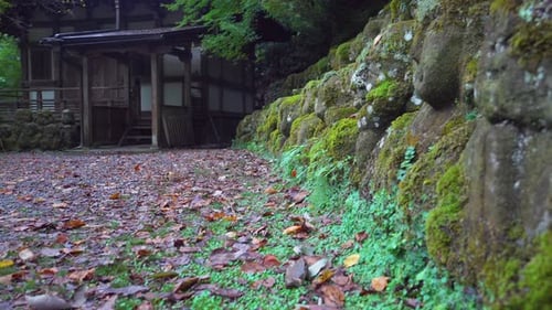 The Otagi Nenbutsu-ji temple in Kyoto is surrounded by literally hundreds of religious images made b