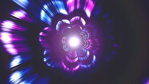 Colorful Flower Shape Moving Animation