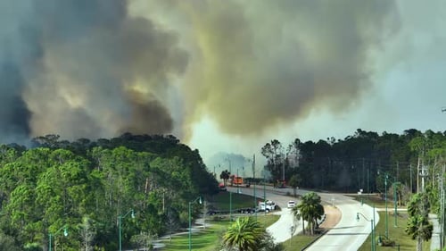 Fire Department Firetrucks Extinguishing Wildfire Burning Severely in Florida Jungle Woods Emergency
