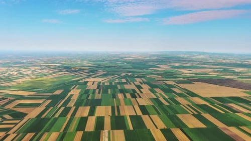 Aerial View of Agriculture Fields