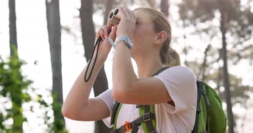 Woman Hiking in Forest Looking Through Binoculars