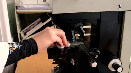 Examine in the Laboratory Under a Microscope Selective Focus