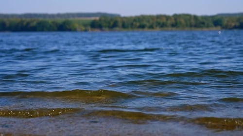 Waves rolling on the surface of river on sunny day. Blurred view of the green waterfront at backdrop