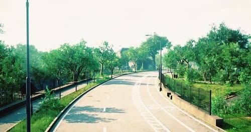 Scenic Empty Road Surrounded By Lush Greenery Under Bright Sunlight
