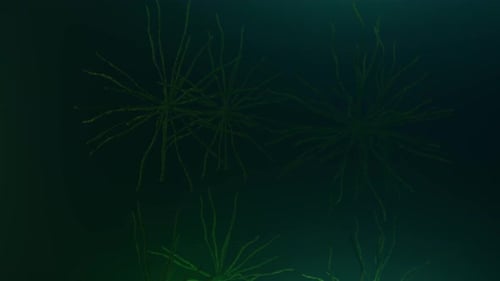 Glowing Green Abstract Organic Growth Animation Background