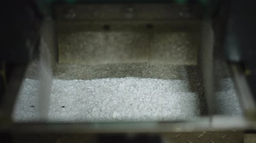 Closeup Shredded White Plastic Falling in Container in Industrial Equipment Closeup Processed