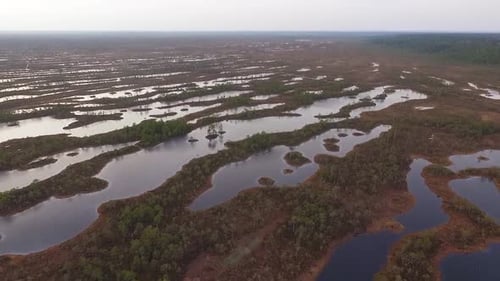 Rised bog high water level aerial autumn vide view in Kemeri, Latvis
