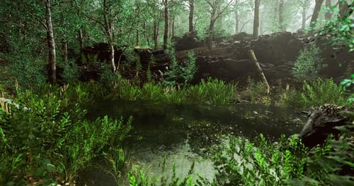Serene Forest Landscape with Clear Pond Surrounded By Lush Greenery