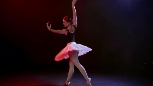 Classic Choreography on Stage of Theatre Ballerina Dancing Slow Motion Breathtaking Dance Show with
