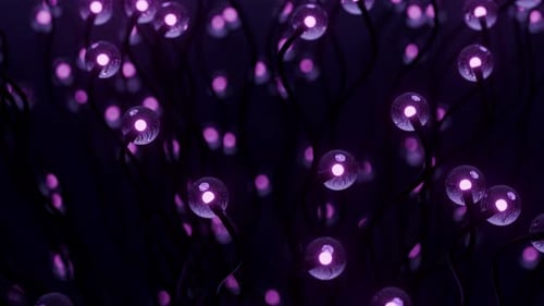 Organic Abstract Motion of Glowing Purple Orbs