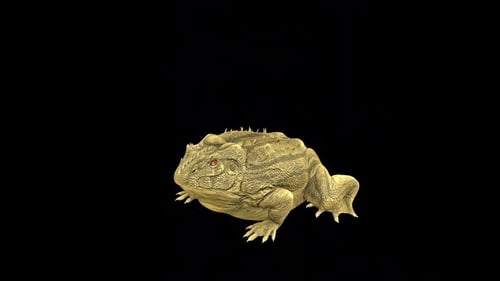Toad Jump Idle