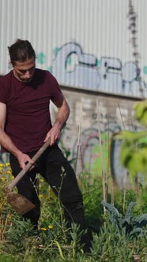 Agriculteur urbain cultivant le sol avec une houe manuelle