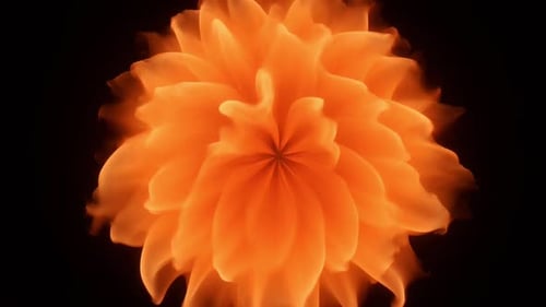 Abstrakte Feuerblume