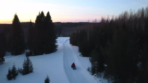 Aerial view of a snowmobile driving along pine tree forest