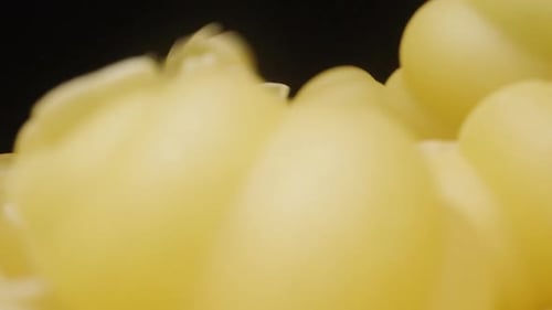 Dry pasta Gnocchetti rotates and falls from above. Slow motion. Dolly slider extreme close-up .