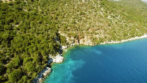 Felsiges Küstenwaldgebiet mit kristallklarem blauem Meerwasser an einem sonnigen Tag