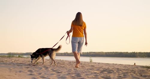Young Woman Enjoying Evening Walk with Her Pet Dog on the Beach in Summer