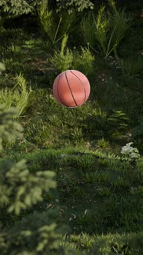 3D Loop Satisfying Bouncing Basket Ball