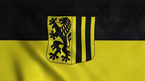Waving Flag with Heraldic Lion and Striped Shield Emblem