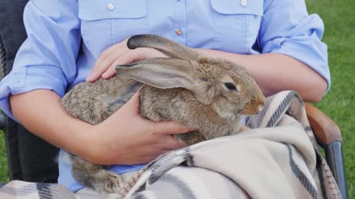 Woman Holding and Petting a Rabbit Outdoors