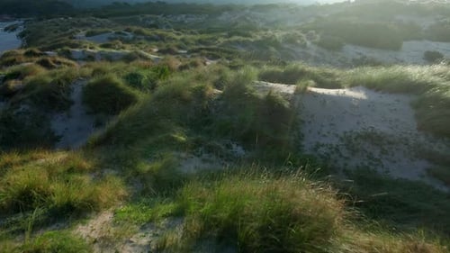 Aerial View of Sandy Dunes and Coastal Greenery