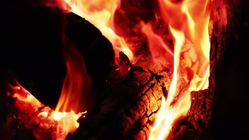 Burning Logs in a Fireplace With Red Flames