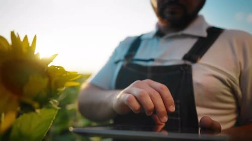 Innovative Computertechnologie für Landwirte in der Landwirtschaft, die ihr Tablet auf Feldern verwenden Nahaufnahme von