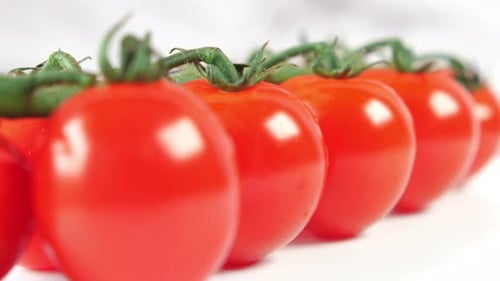 Fresh Cherry Tomatoes on the Vine Close Up
