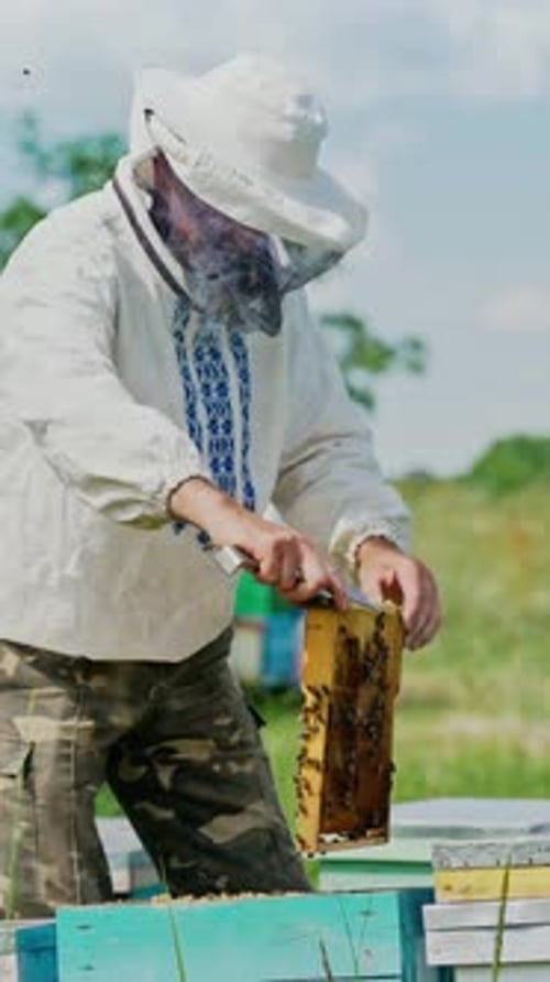 Beekeeper Inspecting Honeycomb Frame in Rural Setting