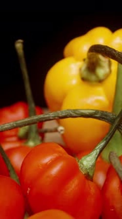 Vertical video. A scattering of a mixture of yellow and red hot peppers on the table.