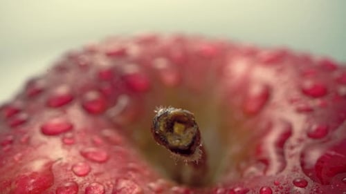 Close-up of Juicy Apple with Stem and Water Drops