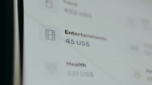 La aplicación Money Manager muestra la categoría de gastos de entretenimiento