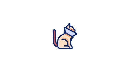 Cat Animated Icon