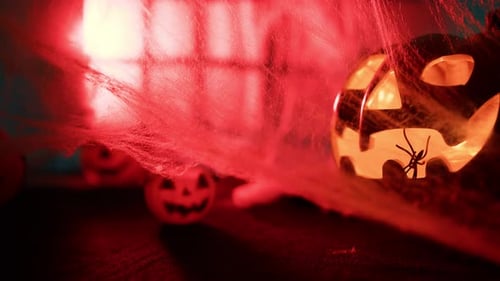 Halloween Pumpkin Moves in Search of Prey