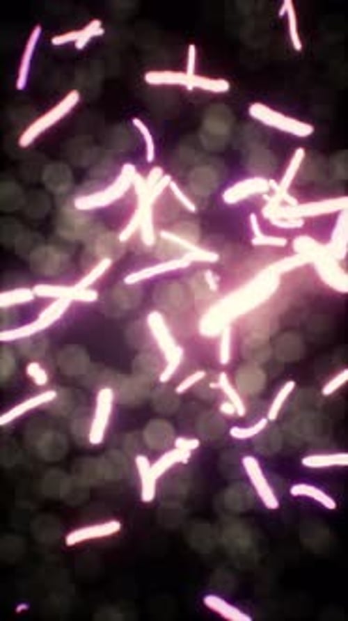 Illustration of Virus Cells or Bacteria Molecule Under Microscope