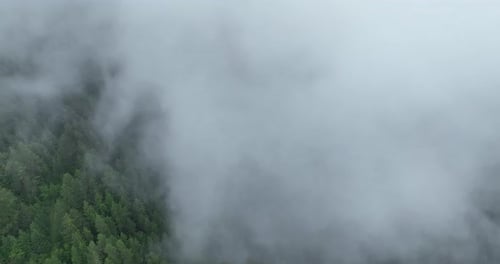 Drone View of Misty Mountain Forest